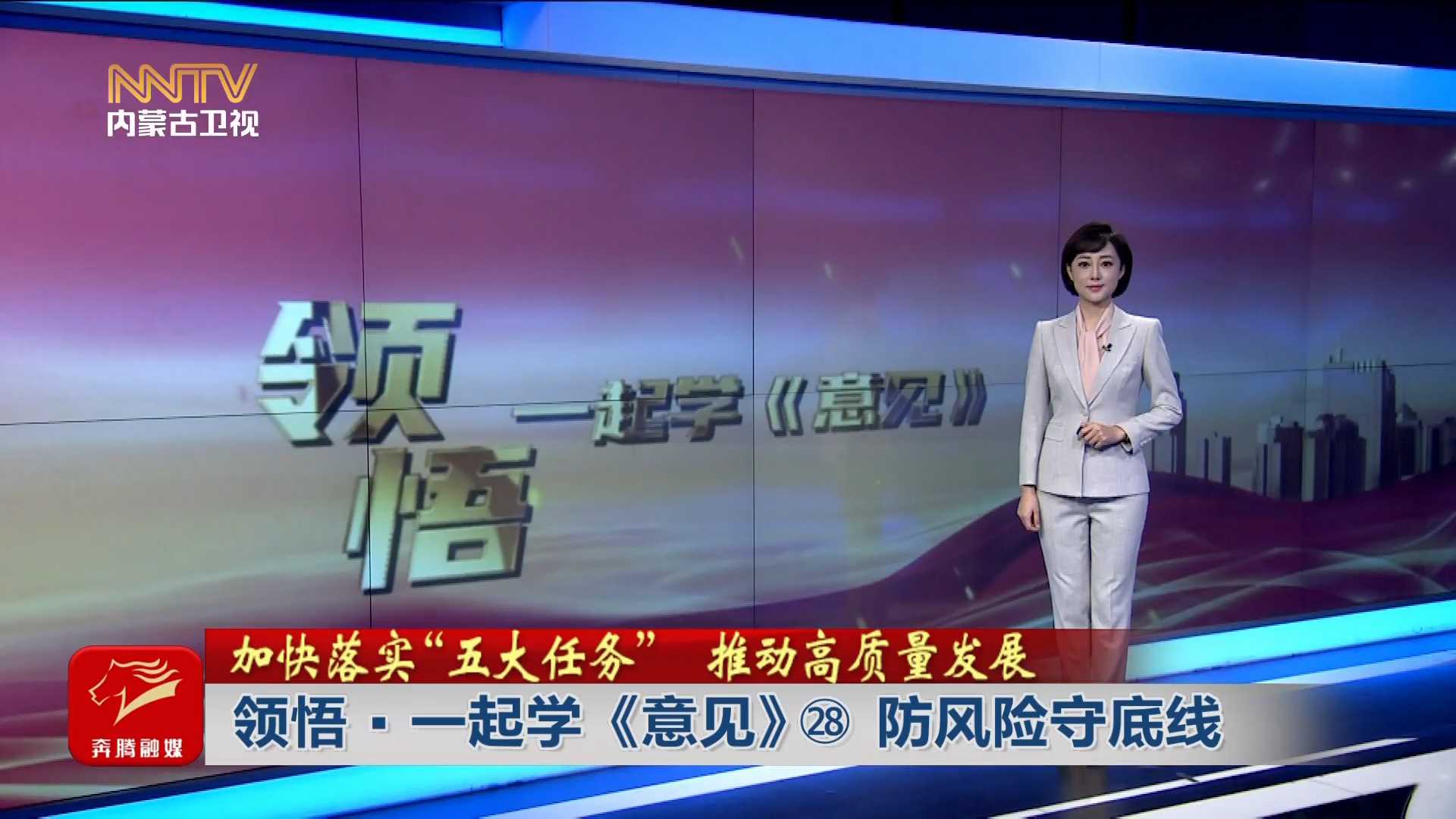 加快落实“五大任务” 推动高质量发展丨 领悟·一起学《意见》㉘ 防风险守底线