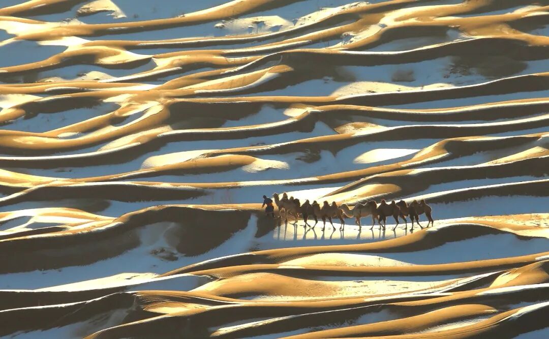 【4A】乌海市金沙湾生态旅游景区