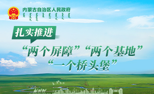 扎实推进“两个屏障”、“两个基地”、“一个桥头堡”